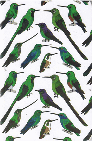 CUADERNO COLIBRIES (HOJAS RAYADAS)