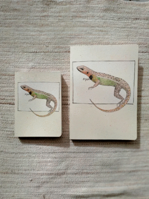 LIBRETA LAGARTO COLLAREJO (MEDIANA - PAPEL CON PUNTOS)