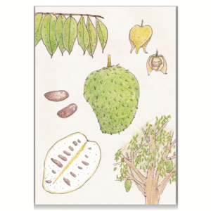 CUADERNO GUANÁBANA MEDIANA BLANCO