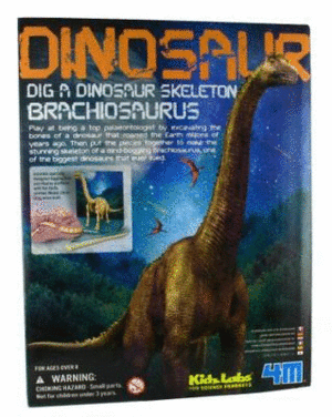 DINOSAUR DIG A DINOSAUR SKELETON: BRACHIOSAURUS