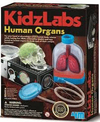 KIDZLABS HUMAN ORGANS