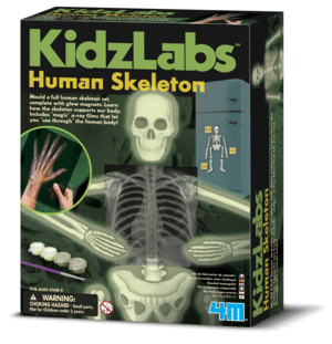 KIDZLABS GLOW HUMAN SKELETON