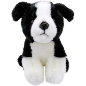 WILBERRY MINI BORDER COLLIE