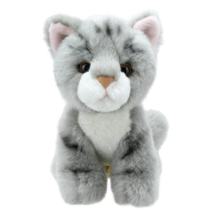WILBERRY GREY CAT