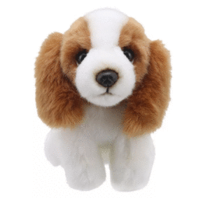 WILBERRY MINI KING CHARLES SPANIEL