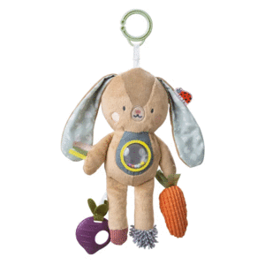 JENNY ACTIVITY TOY