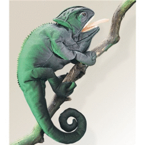 CHAMELEON