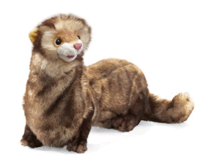 FERRET PUPPET