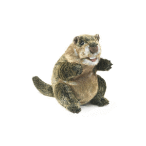 GROUNDHOG PUPPET