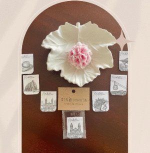 SEPARADORES MAGNETICOS DE MEDELLIN