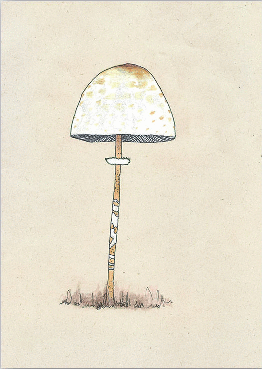 BITÁCORA MACROLEPIOTA MEDIANA PAPEL PUNTOS (BULLET JOURNAL)