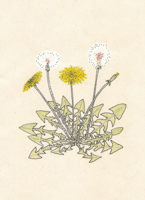 BITÁCORA DIENTE DE LEÓN GRANDE PAPEL PUNTOS ( BULLET JOURNAL)