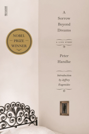 a sorrow beyond dreams pdf download