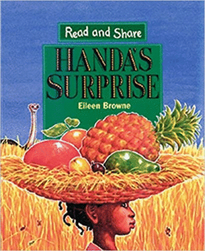 HANDA'S SURPRISE