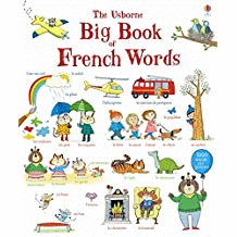 BIG BOOK OF FRENCH WORDS