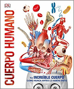 CUERPO HUMANO