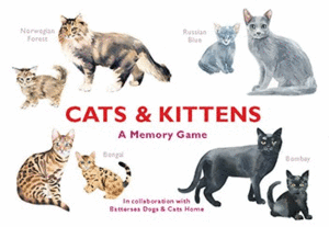 CATS & KITTENS