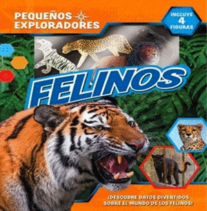 PEQUEÑOS EXPLORADORES - FELINOS