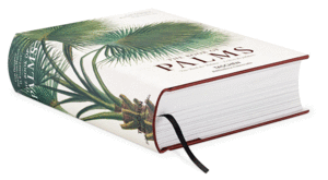 EL LIBRO DE LAS PALMERAS - THE BOOK OF PALMS