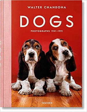 DOGS: PHOTOGRAPHS 19411991