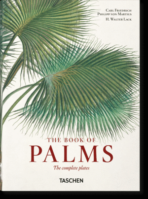 THE BOOK OF PALMS. THE COMPLETE PLATES