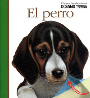 EL PERRO