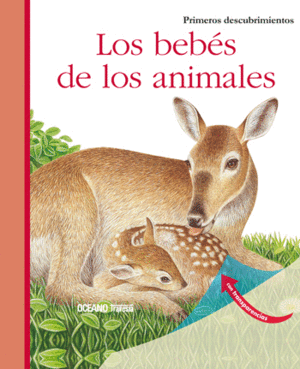 LOS BEBES DE LOS ANIMALES