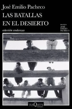 LAS BATALLAS EN EL DESIERTO