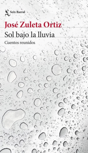 SOL BAJO LA LLUVIA