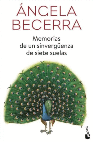 MEMORIAS DE UN SINVERGÜENZA DE SIETE SUELAS