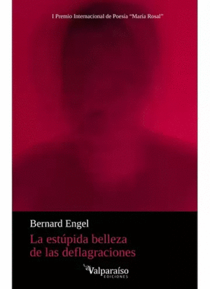 LA ESTÚPIDA BELLEZA DE LAS DEFLAGRACIONES