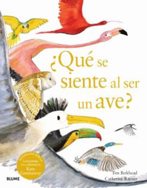 ¿QUE SE SIENTE AL SER UN AVE?
