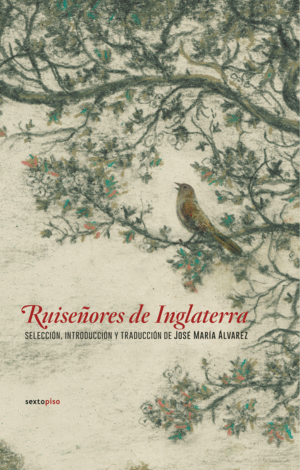 RUISEÑORES DE INGLATERRA - JOSÉ MARIA ALVAREZ