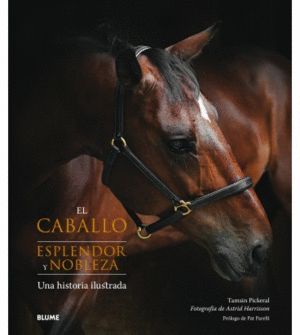 EL CABALLO: ESPLENDOR Y NOBLEZA