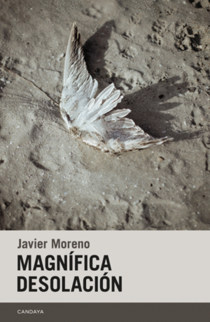 MAGNÍFICA DESOLACIÓN