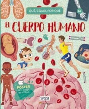 EL CUERPO HUMANO