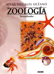 ZOOLOGÍA (INVERTEBRADOS)