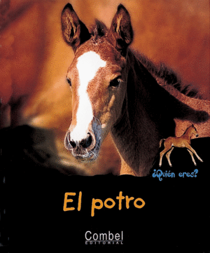 EL POTRO