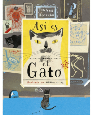 ASÍ ES EL GATO