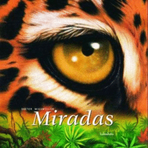 MIRADAS