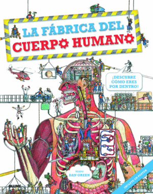 LA FÁBRICA DEL CUERPO HUMANO