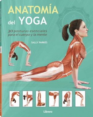 ANATOMÍA DEL YOGA