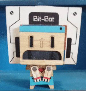 MR ROBOTU BIT-BOT