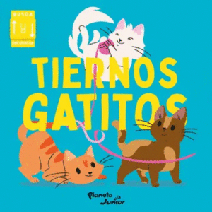 TIERNOS GATITOS