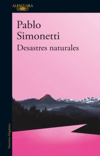 DESASTRES NATURALES - PABLO SIMONETTI