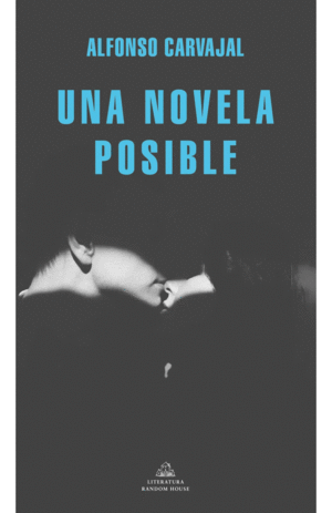 UNA NOVELA POSIBLE