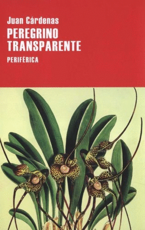 PEREGRINO TRANSPARENTE