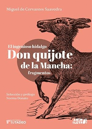 EL INGENIOSO HIDALGO DON QUIJOTE DE LA MANCHA: FRAGMENTOS