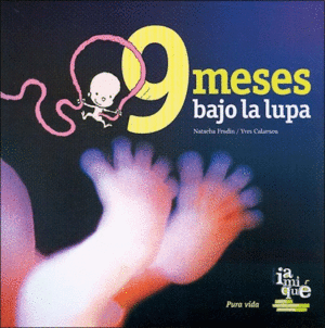 9 MESES BAJO LA LUPA