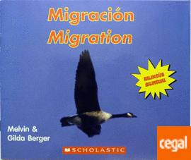 MIGRACIÓN / MIGRATION 